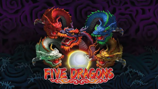 5 dragons