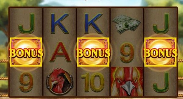 Free spins bonus cock fight